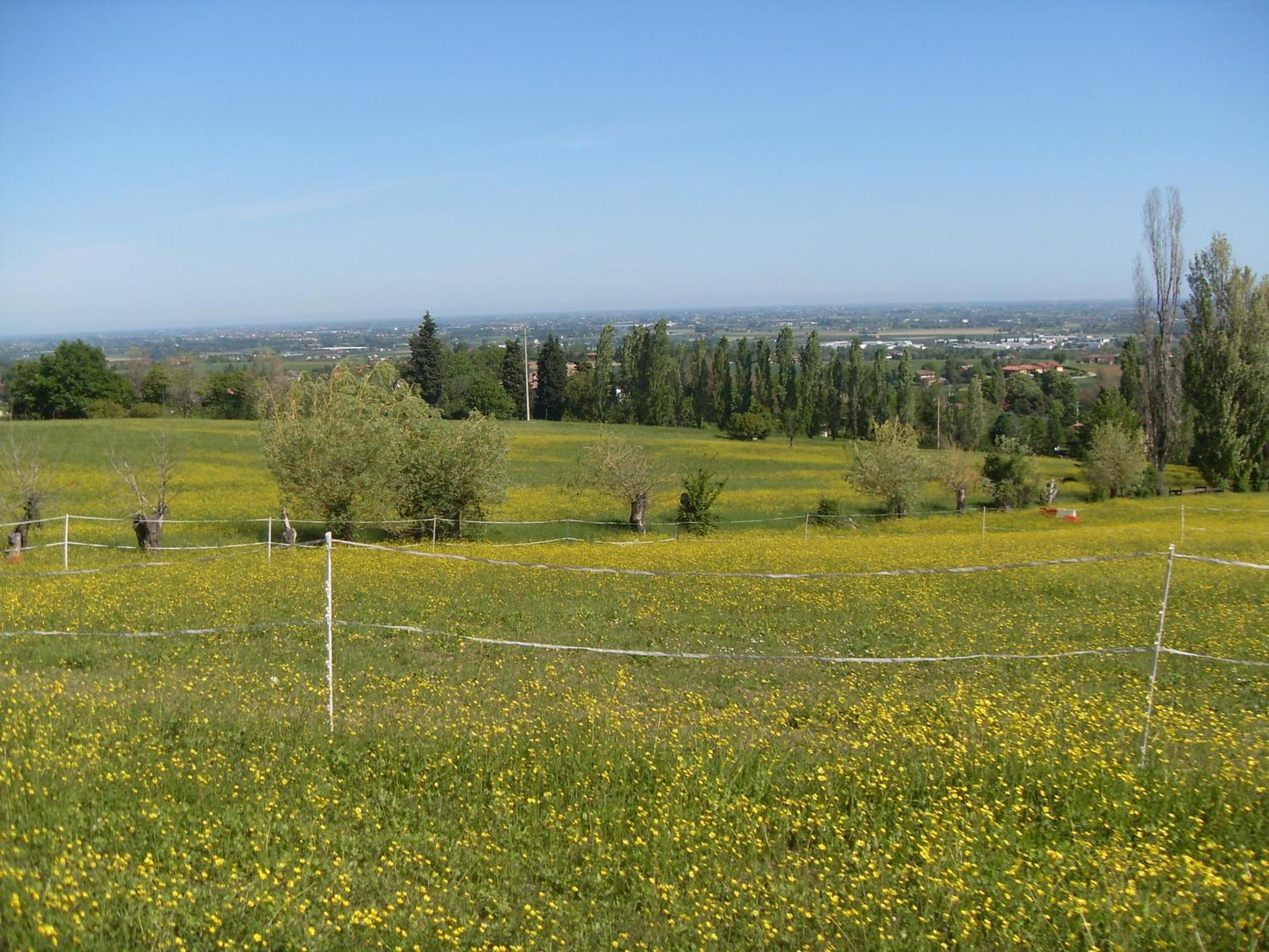 Agriturismo Montevecchio Isolani Monte San Pietro Exteriör bild