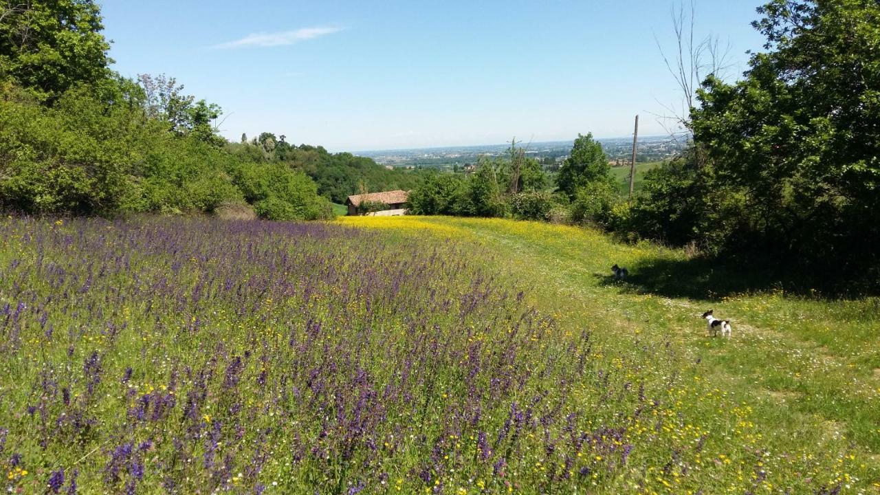 Agriturismo Montevecchio Isolani Monte San Pietro Exteriör bild